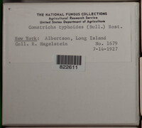 Image Associated With the Occurence